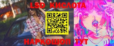 прущие крисы Кулебаки