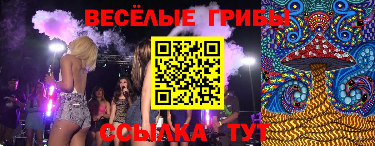 где можно купить   Вход с VPN  Ипатово  Псилоцибиновые грибы мицелий 
